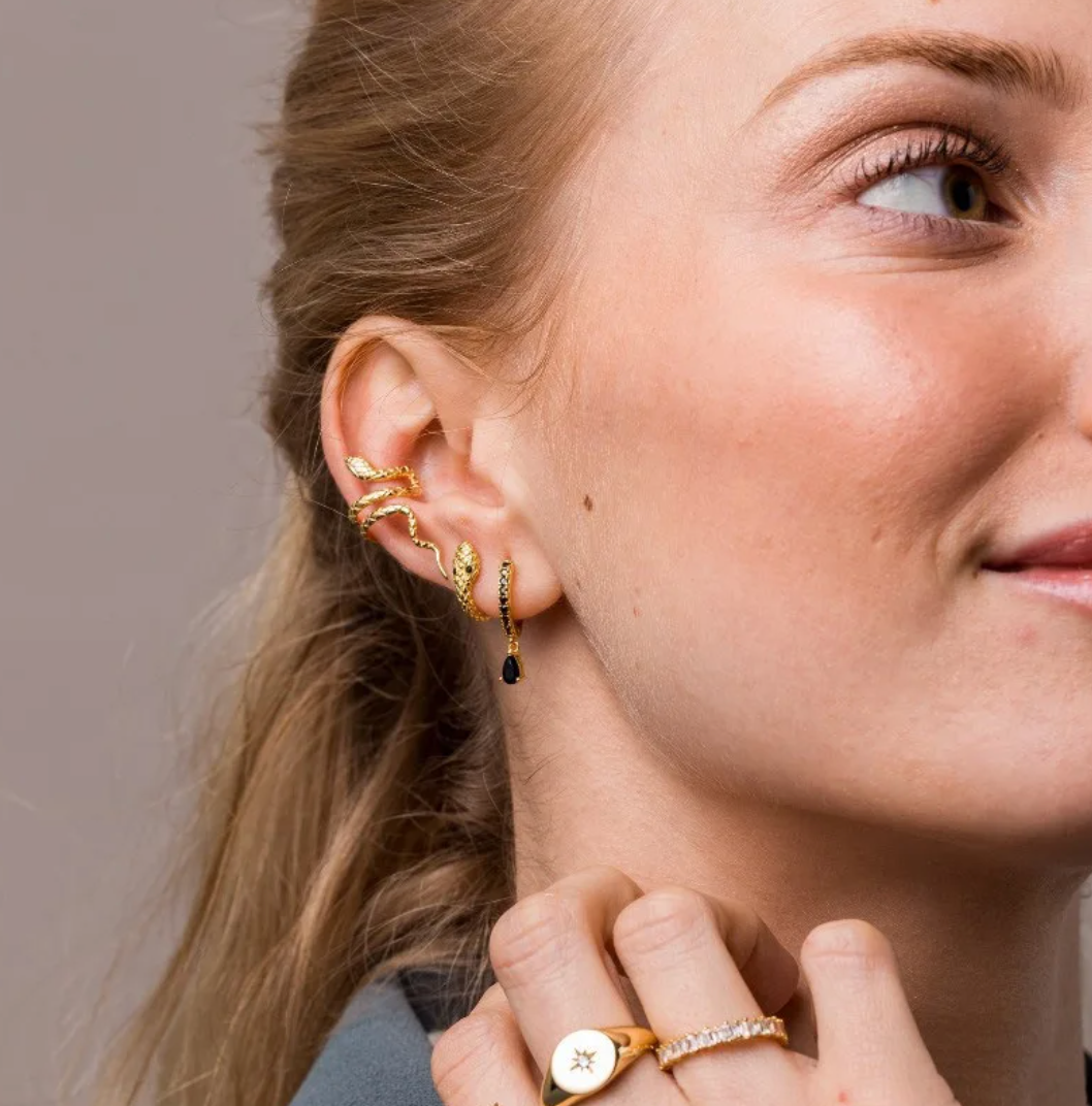 Set de pendientes de serpiente