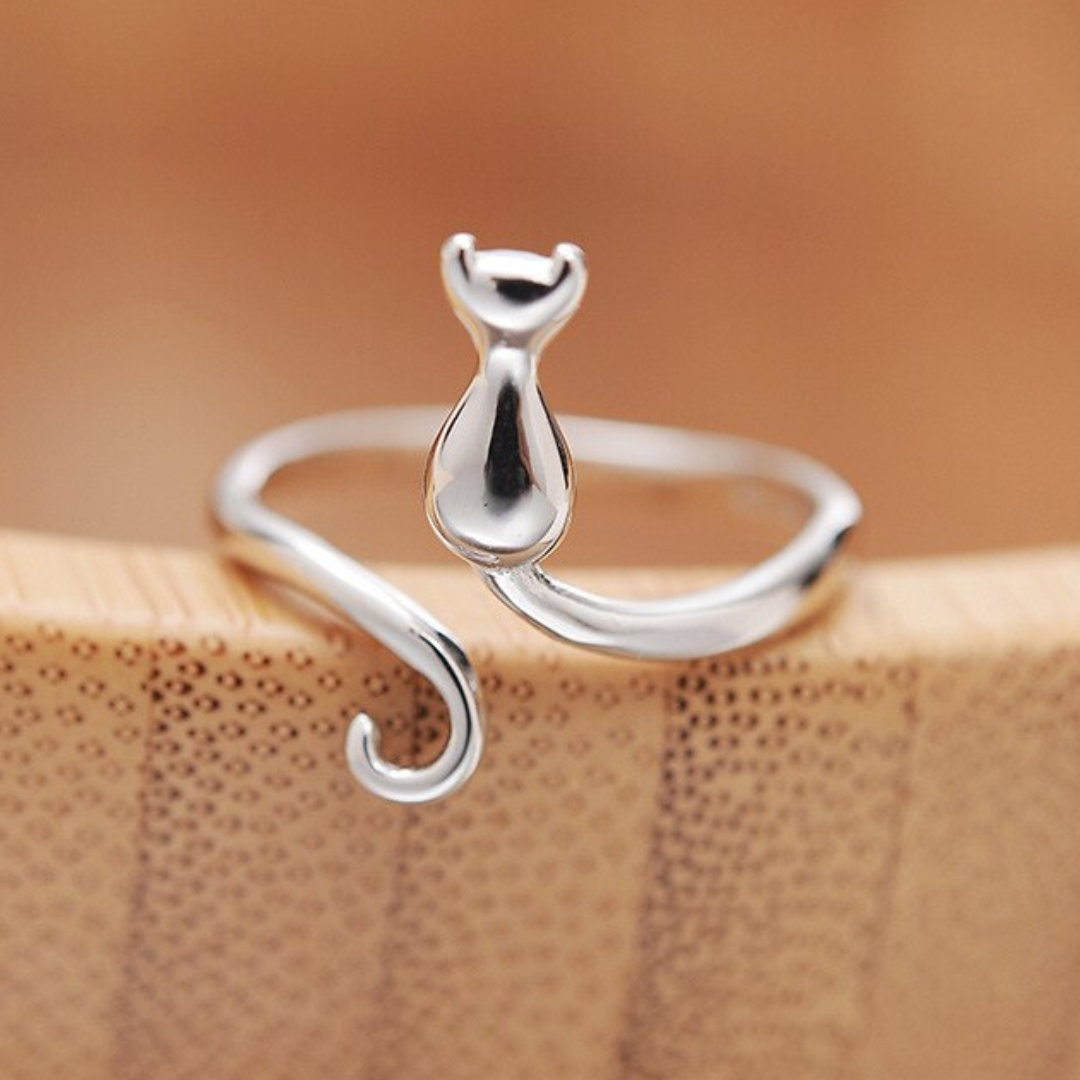 Anillo de Plata con forma