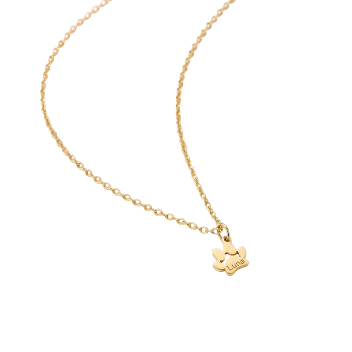 Collar Personalizado con Huella y Nombre de tu Mascota