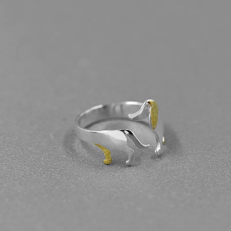 Anillo puesto en el dedo