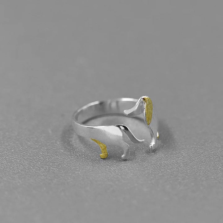 Anillo puesto en el dedo