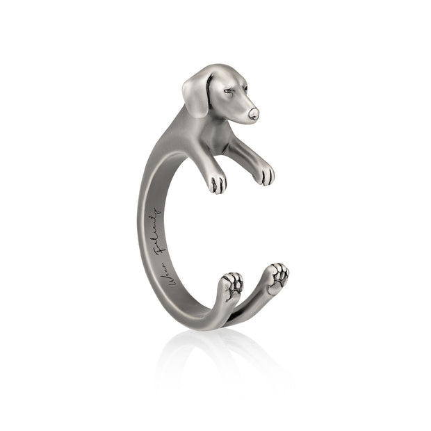 Anillo Teckel envolvente, plata