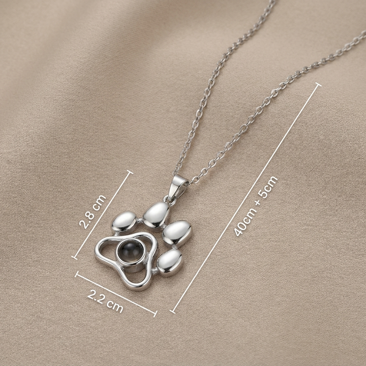 Collar Personalizado con Foto de tu Mascota