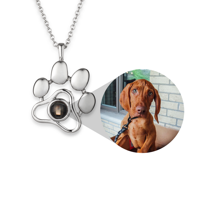 Collar Personalizado con Foto de tu Mascota
