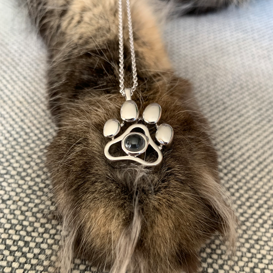 Collar Personalizado con Foto de tu Mascota