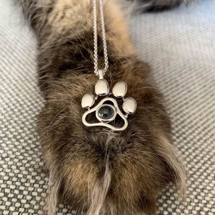 Collar Personalizado con Foto de tu Mascota